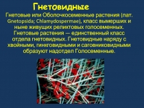 Гнетовидные