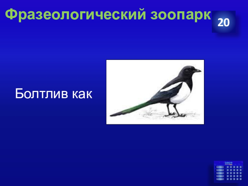 Выполни задание по образцу волк какой голодный