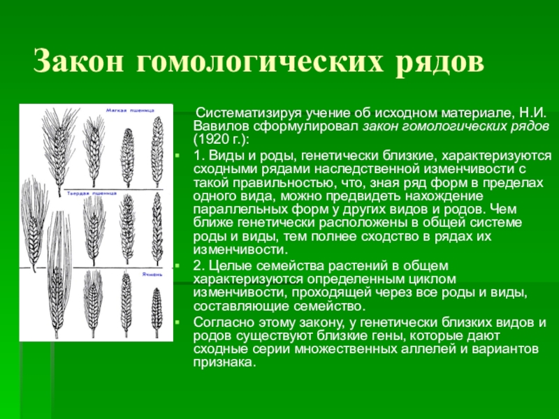 Закон гомологических рядов. Вавилов Гомологические ряды пшеница. Закон гомологических рядов Вавилова. Виды и роды генетически близкие характеризуются сходными.