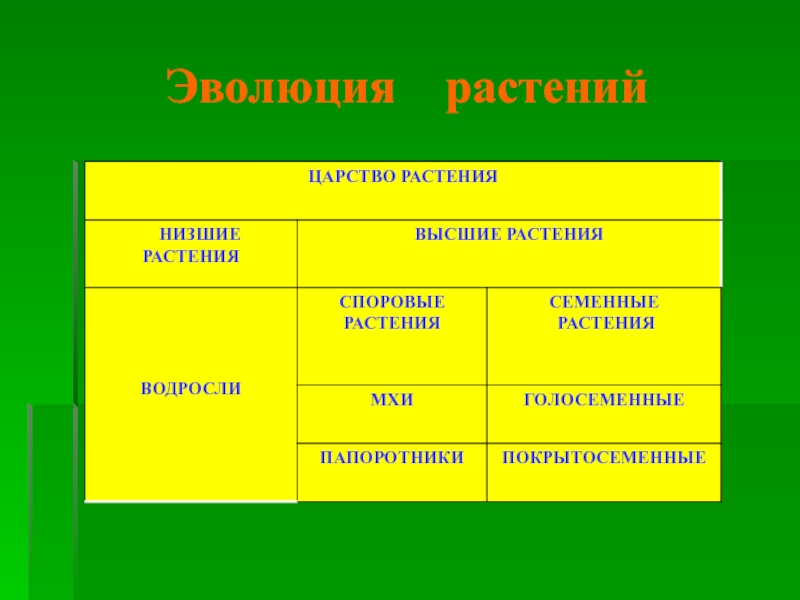 Таблица низшие растения. Развитие растений таблица. Высшие и низшие растения Эволюция. Хронология растений. Ступени эволюции растительного царства.