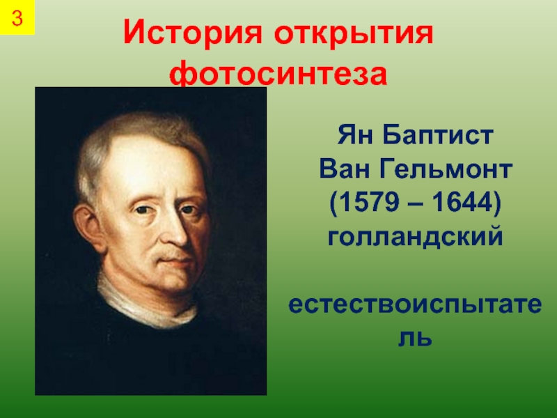 Ван гельмонт. Ян Баптиста Ван Гельмонт 1579-1644. Ян Ван Гельмонт открытие. Ян Баптист Ван Гельмонт фотосинтез. Ян Ван Гельмонт фотосинтез открытия.