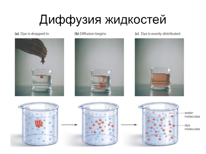 Примеры диффузии. Схема диффузии жидкости. Диффузия в жидкостях. Диффузия рисунок. Диффузия в жидкостях рисунок.