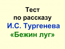 Тест И.С. Тypгeнeв «Бежин луг»