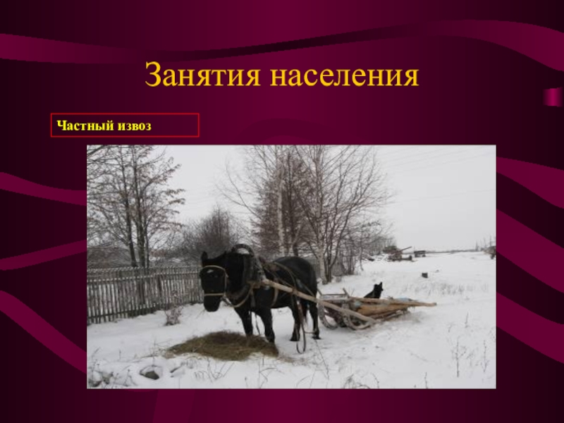 Занятия жителей. Занятия населения. Занятия населения история. Занятия населения на селе. Занятие населения Строгановых.