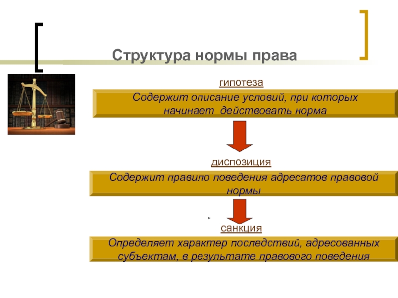 Структура нормы права картинки