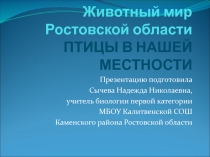 Животный мир Ростовской области ПТИЦЫ В НАШЕЙ МЕСТНОСТИ