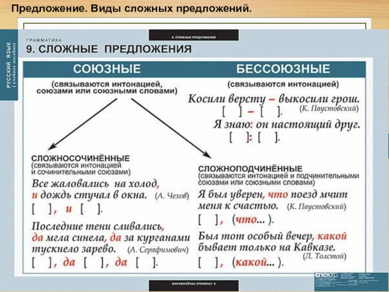 Выпиши предложения в порядке схем 4 класс русский язык