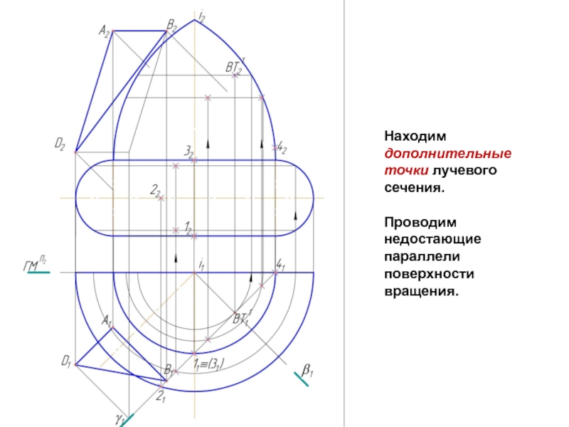 Внутренняя точка поверхности. Параллель поверхности вращения это. Радиальное сечение. Дополнительные точки сечения. Доп точки в сечении.