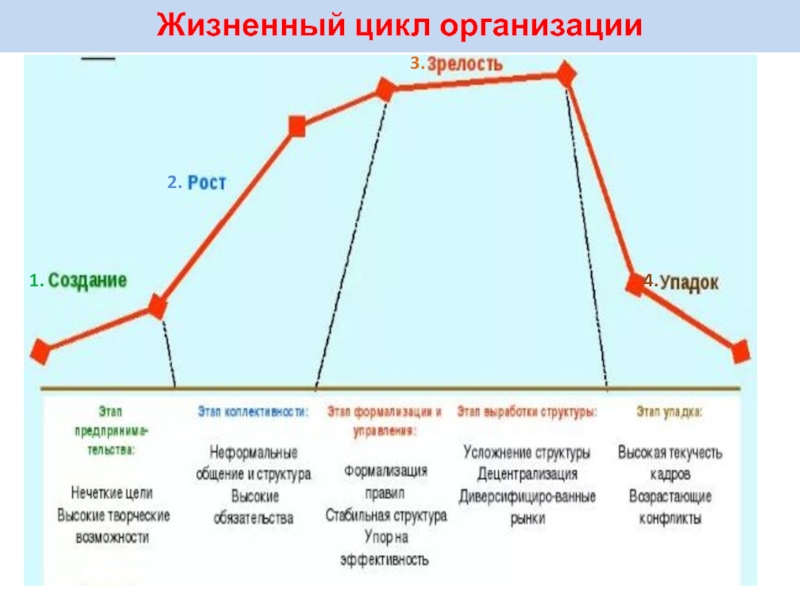 Анализ цикла организации