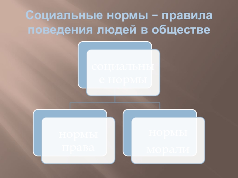 Социальные нормы и ценности 7 класс обществознание