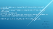 МИНИСТЕРСТВО НАУКИ И ВЫСШЕГО ОБРАЗОВАНИЯ РОССИЙСКОЙ ФЕДЕРАЦИИ ФЕДЕРАЛЬНОЕ