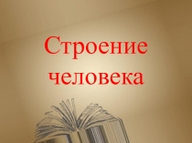 Презентация к уроку по окружающему миру на тему: 