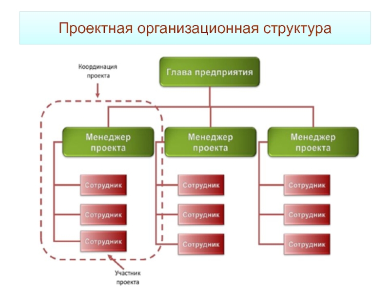 Какая организационная структура применяется для проектов низкой сложности