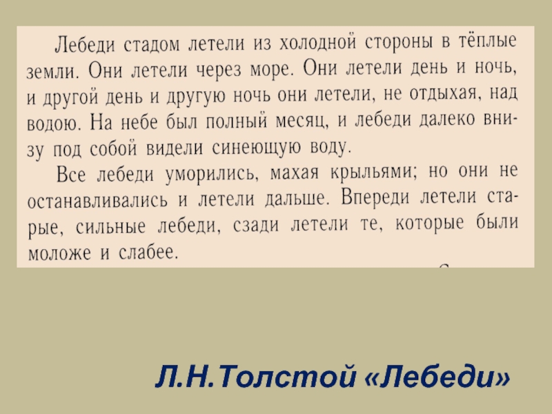 Л толстой рассказ лебеди. Толстой лебеди стадом. Лебеди летели из холодной стороны в теплые земли. Л толстой лебеди стадом летели. Л толстой лебеди стадом летели из холодной стороны.