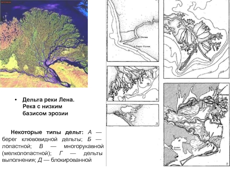 Типы дельты реки. Типы дельт рек с примерами и схемами. Дельта реки. Строение дельты реки. Дельта реки схема.