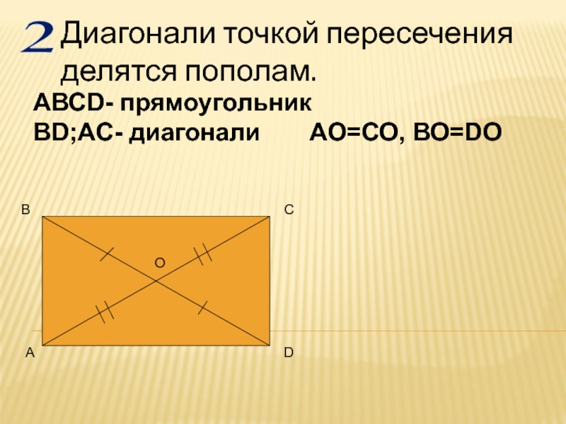 Диагонали равны и делятся пополам. Диагонали делятся пополам. Точкой пересечения делятся пополам. Точка пересечения диагоналей. Диагонали прямоугольника точкой пересечения делятся пополам.