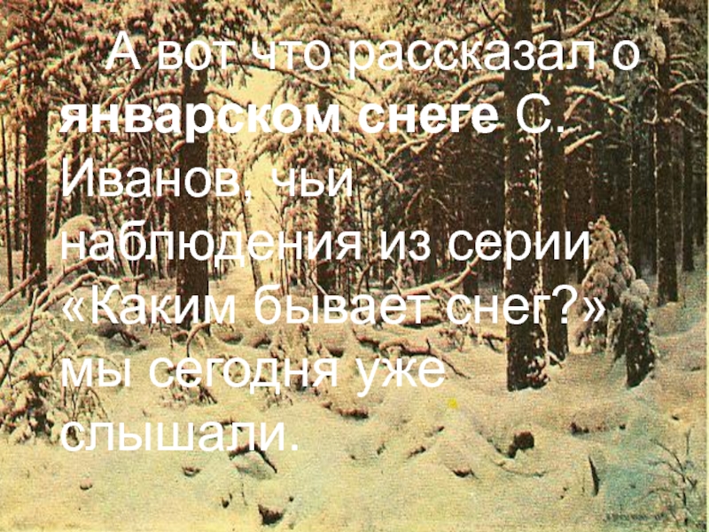 А вот что рассказал о январском снеге С. Иванов, чьи наблюдения из серии «Каким