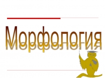 Морфология