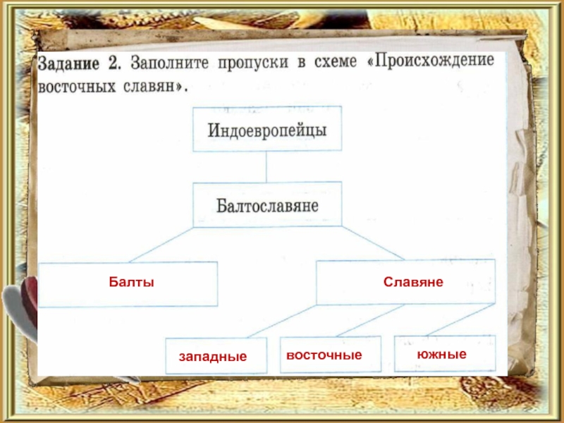 Заполните пропуск в схеме наука хозяйство