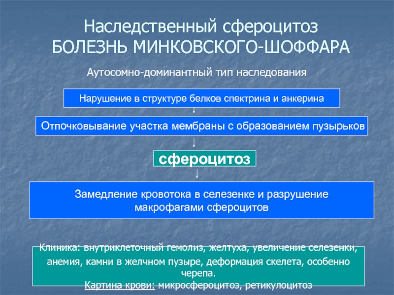 Болезнь минковского шоффара презентация