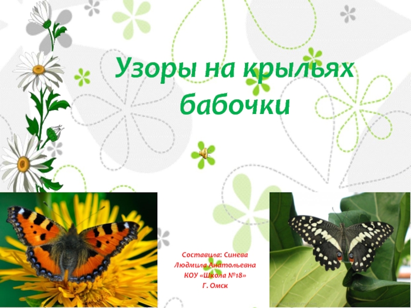Презентация Узоры на крыльях бабочки