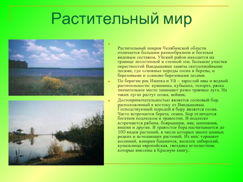 Растительный мир Растительный покров Челябинской области отличается большим разнообразием и богатым видовым составом. Уйский район находится на