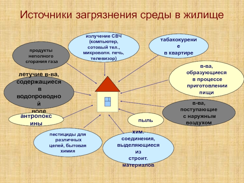 Дайте экологическую характеристику своего места жительства по плану