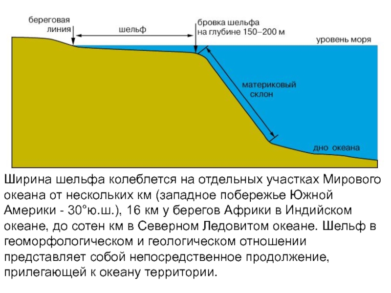 Картинка часть рельефа дна океана