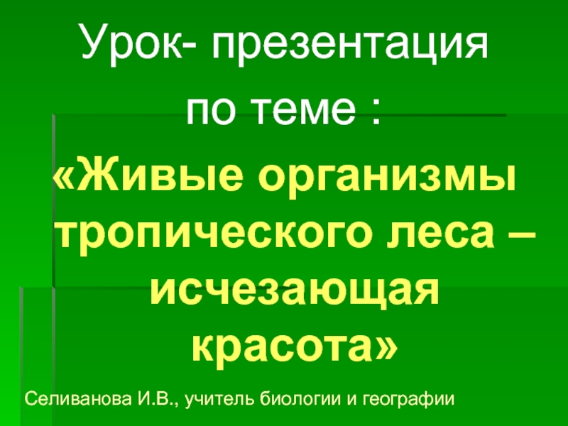 Живые организмы тропического леса – исчезающая красота