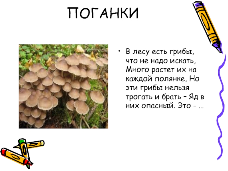 ПОГАНКИВ лесу есть грибы, что не надо искать, Много растет их на каждой полянке, Но эти грибы