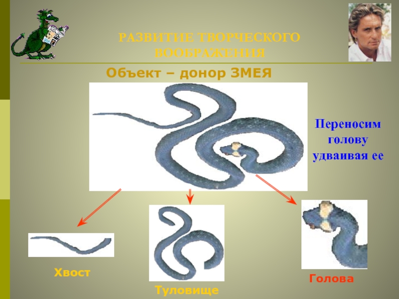 Змея можно переносить. Развитие змей. Развивающаяся змейка. Развитие змей схема. Змея развитие шаг за шагом.