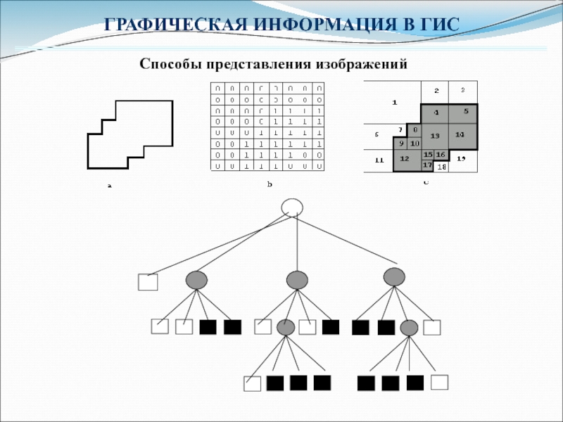 Графический сообщение. Способы представления изображений. Способы представления графических изображений. Графические данные в ГИС это. Семантические данные в ГИС это.