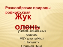 Разнообразие природы родного края. Жук оленя 3 класс