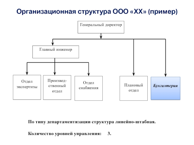 Ооо структура. Организационная структура ООО. - Организационная структура ООО «СКМ». Организационная структура предприятия ООО пример с описанием. Организационная структура ООО Теплосервис.