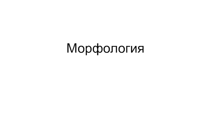 Морфология бактерий