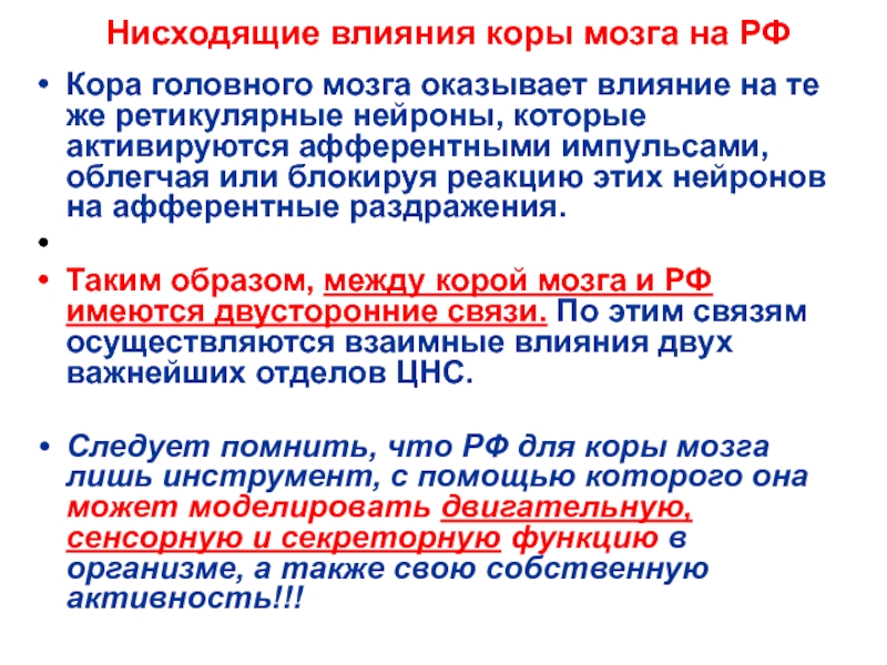 Влияние коры. Влияние коры мозга на РФ. Нисходящие влияния. Нисходящее влияние коры мозга на РФ. Нисходящее влияние.