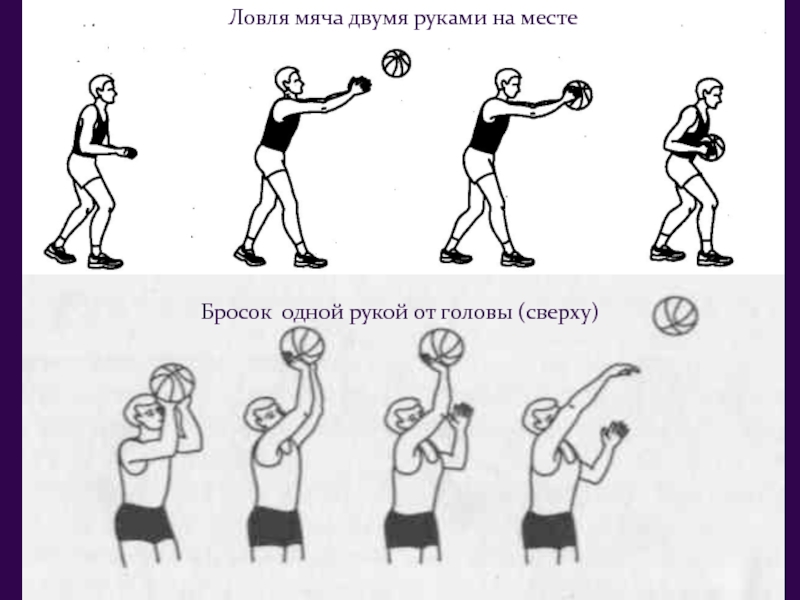 Ловля мяча двумя руками в баскетболе. Техника броска мяча двумя руками снизу. Бросок мяча в баскетболе снизу. Бросок двумя руками снизу в баскетболе в кольцо. Бросок мяча в баскетболе двумя руками от головы.