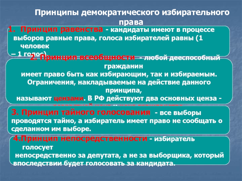 Выбор равных. Принцип равенства избирательного права. Принцип равенства демократического избирательного права. Принцип равенства в демократии. Принцип равенства выборов означает.