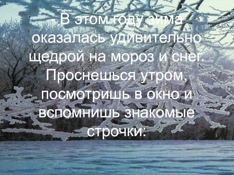 - В этом году зима оказалась удивительно щедрой на мороз и снег. Проснешься утром, посмотришь в окно