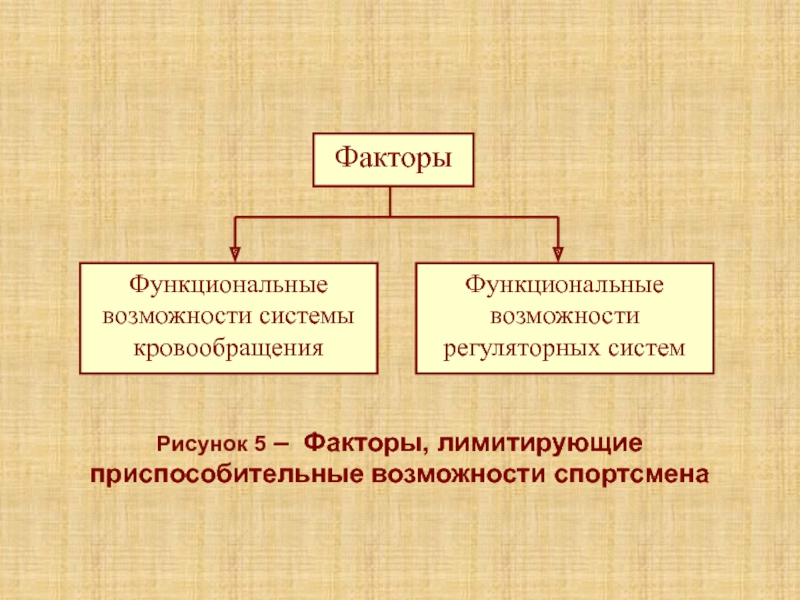Лекция 5К Рисунок 5 – Факторы, лимитирующие приспособительные возможности спортсмена Рисунок 5 – Факторы, лимитирующие приспособительные возможности спортсмена
