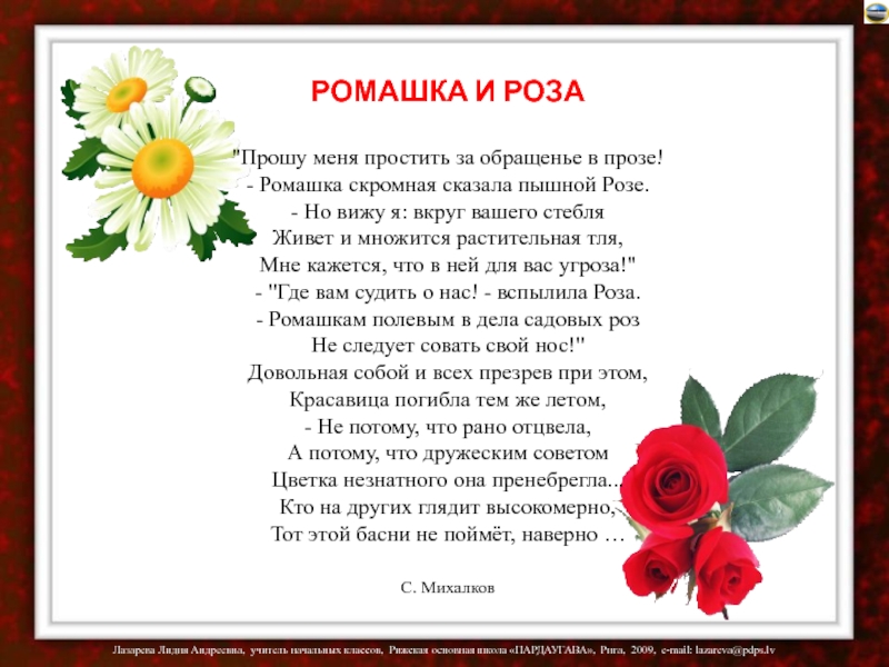 Ромашки розы текст