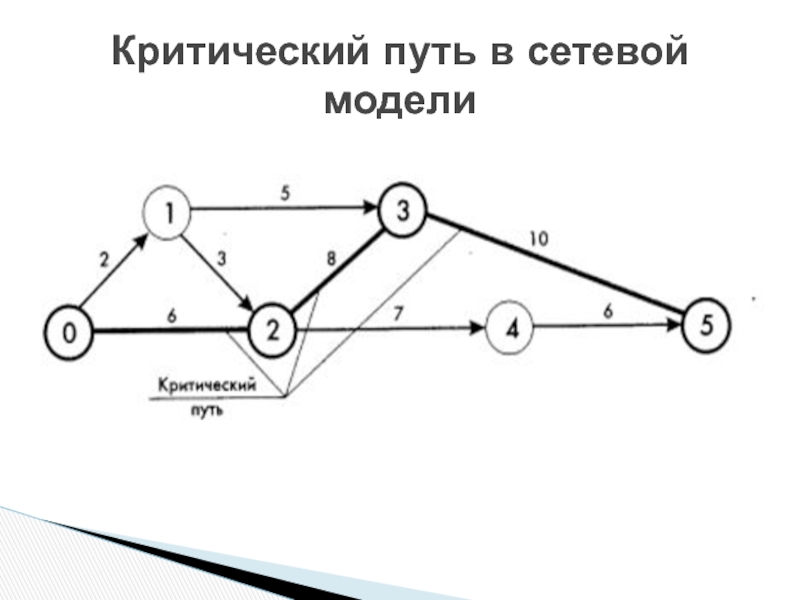 Сетевые модели управления проектами