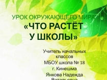 Урок окружающего мира 