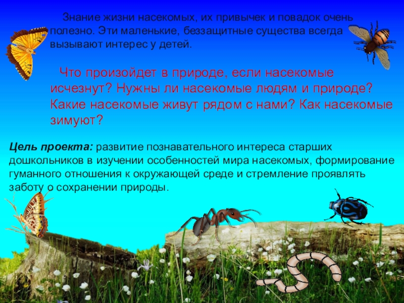 Жизнь насекомых краткое. Исчезновение насекомых. Значение насекомых в жизни. Повадки насекомых. Что произойдет если исчезнут насекомые.