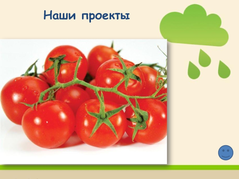 Каждому овощу. Каждому овощу свое время. Всякому овощу своё время. Конспект всякому овощу свое время. Каждому овощу своё время 2 класс презентация.