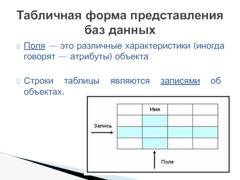 Объектами таблицы являются. Табличная форма представления. Табличное представление БД. Объекты и атрибуты базы данных. Представление (базы данных).