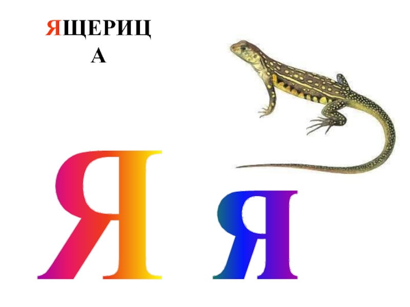 Схема слова ящерица