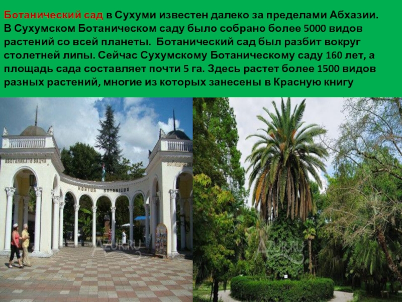 Памятники абхазии фото с описанием