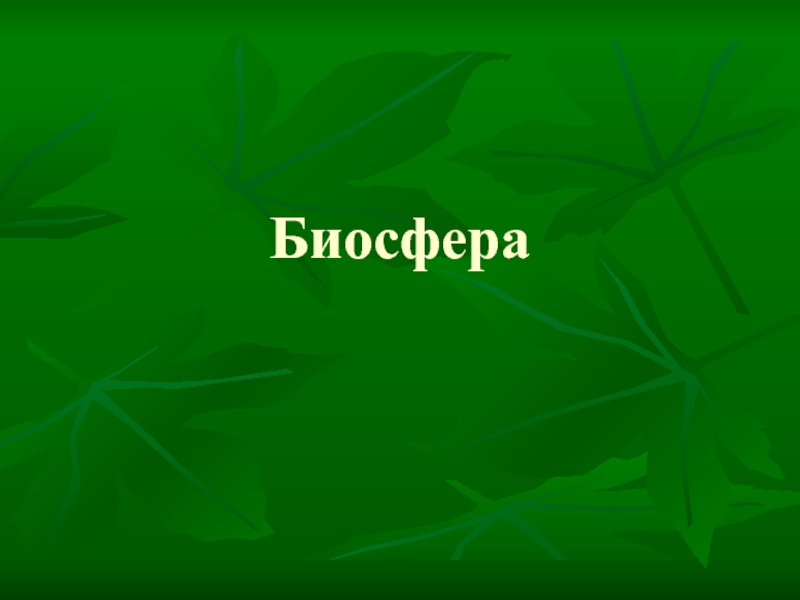 Биосфера