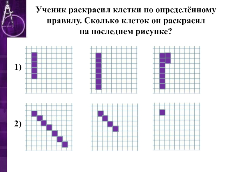 Количество клеток. Ученик раскрашивает клетки по определенному правилу. Раскрашивание клеток по определенному правилу. Сколько клеток. Раскрасьте клетки по определенному правилу.